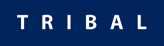 Tribal Group plc - Tribal provides consultancy, support and delivery services focused on improving the delivery of public services